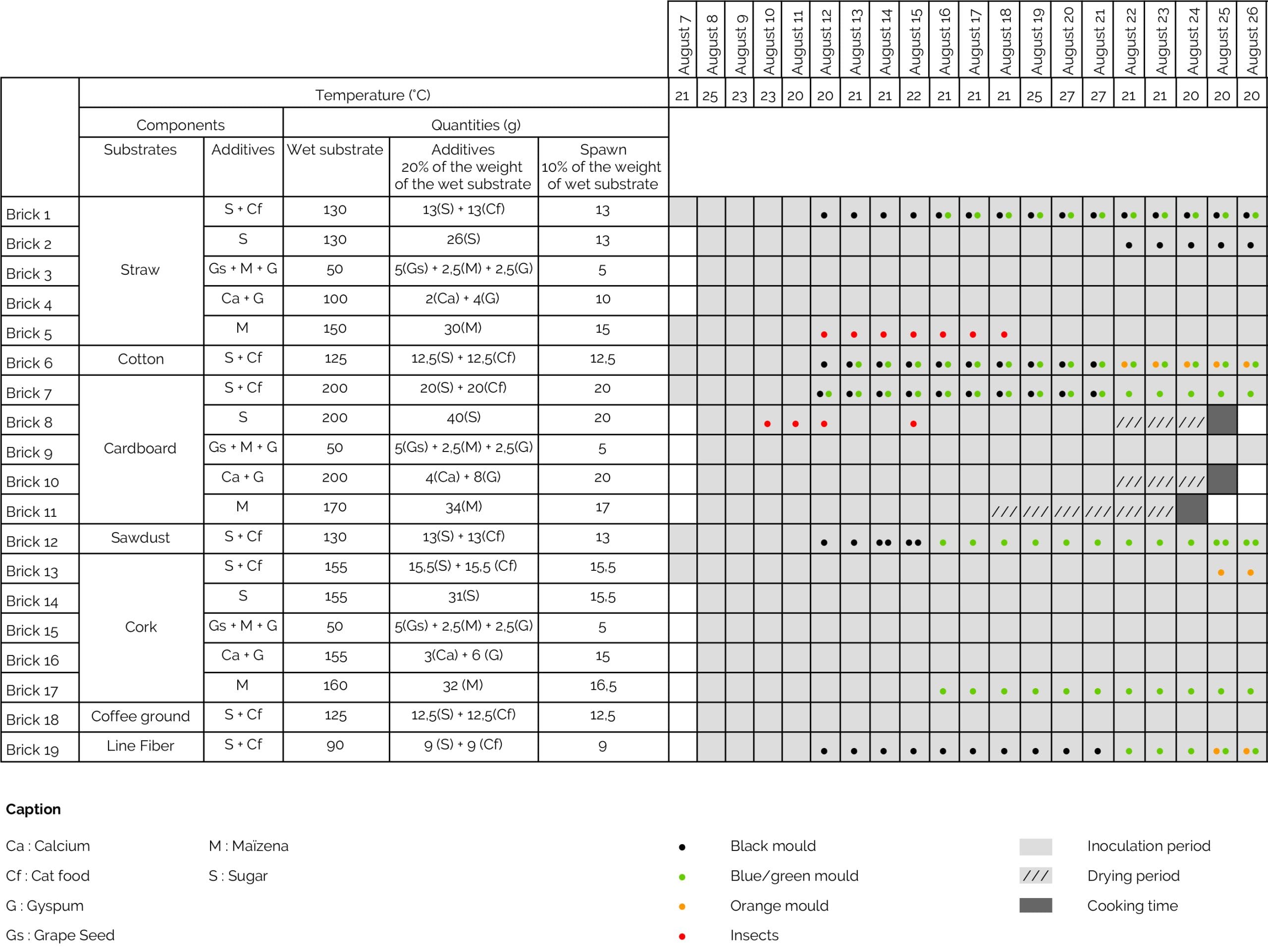 Follow up Bricks Schedule