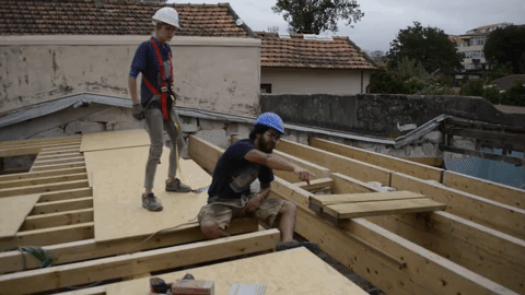 Building a green roof
